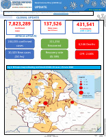 20200615_COVID-19_SitRep 113.pdf
